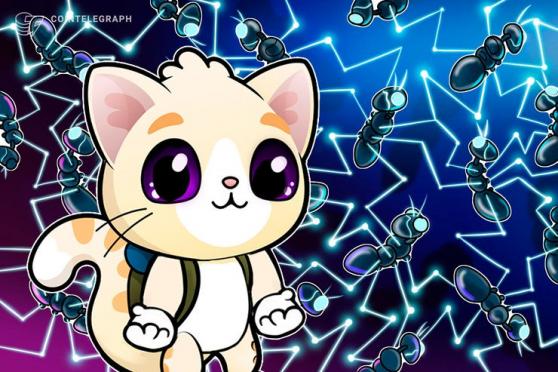 Dapper Labs Welcomes CryptoKitties Onto Flow Blockchain